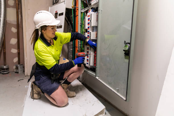 Best Electric Panel Repair  in Metamora, IL